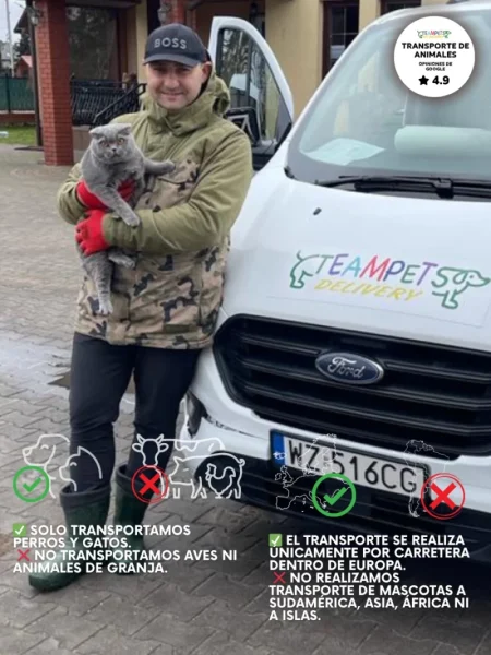 transporte de mascotas