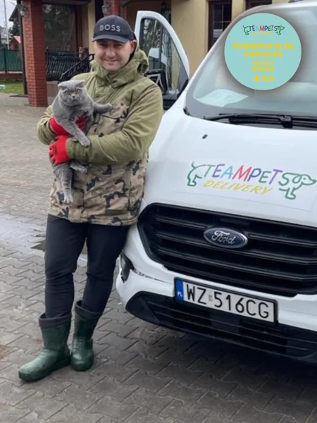 Transporte internacional de mascotas